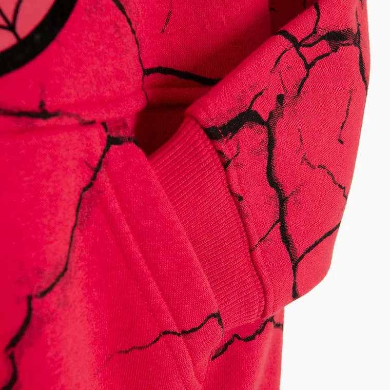 Cool Club, Hanorac pentru baieti, rosu, imprimeu Spider-Man