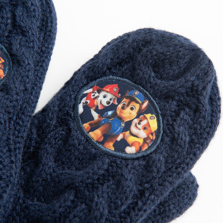 Cool Club, Manusi pentru baieti, albastru, imprimeu Paw Patrol