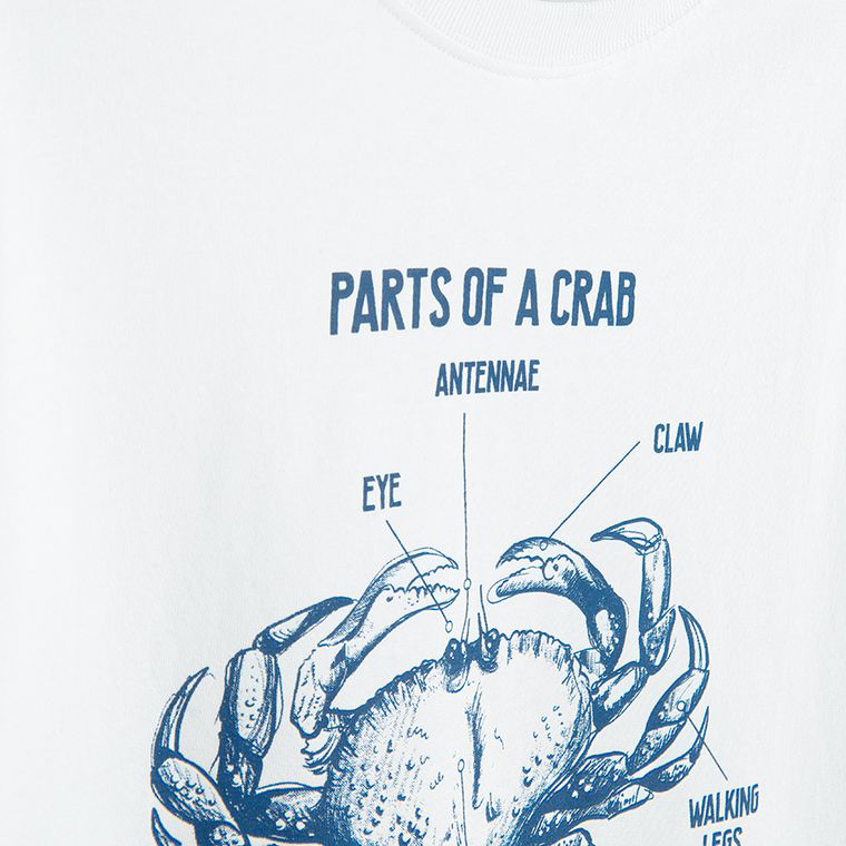 Cool Club, Tricou pentru baieti, alb, set, 2 buc.