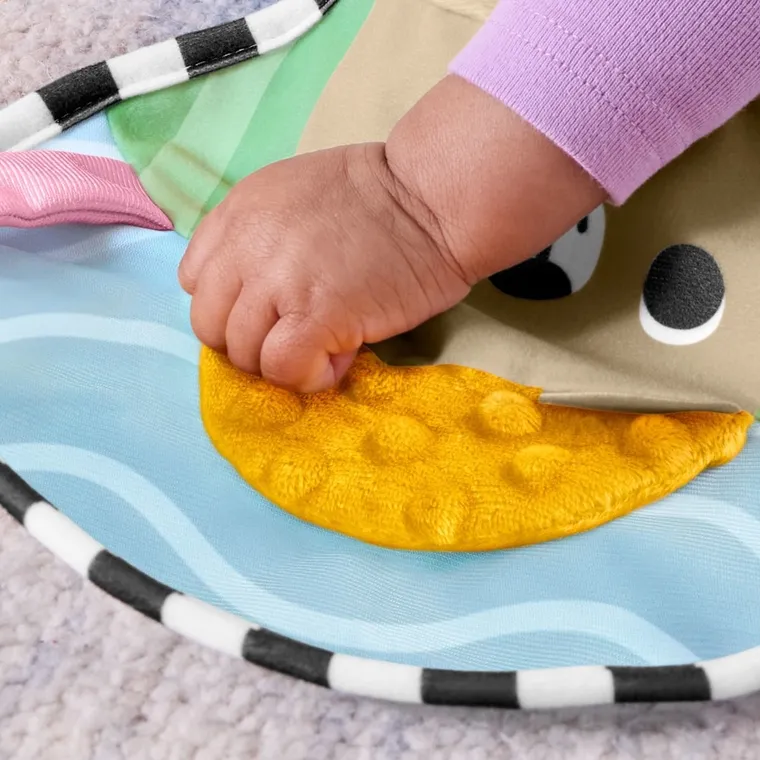 Fisher-Price, Perna pentru burta, Aventuri senzoriale, jucarie pentru bebelusi