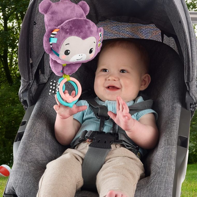 Fisher-Price, Purple Monkey, jucarie pentru carucior