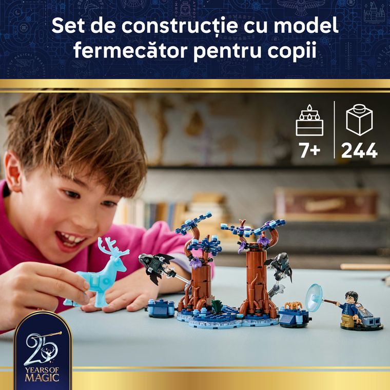 LEGO Harry Potter, Padurea Interzisa: Expecto Patronum, 76475
