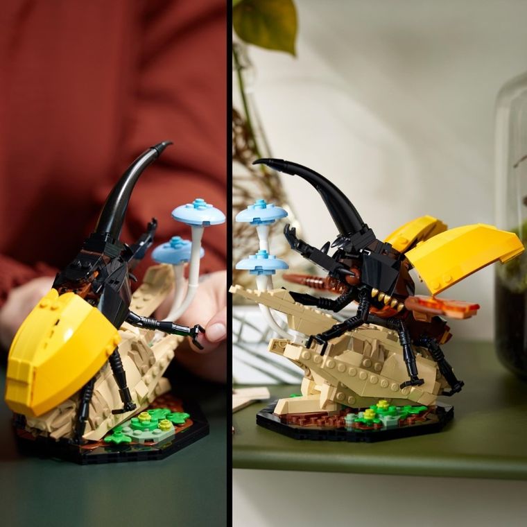 LEGO Ideas, Colectia de insecte, 21342