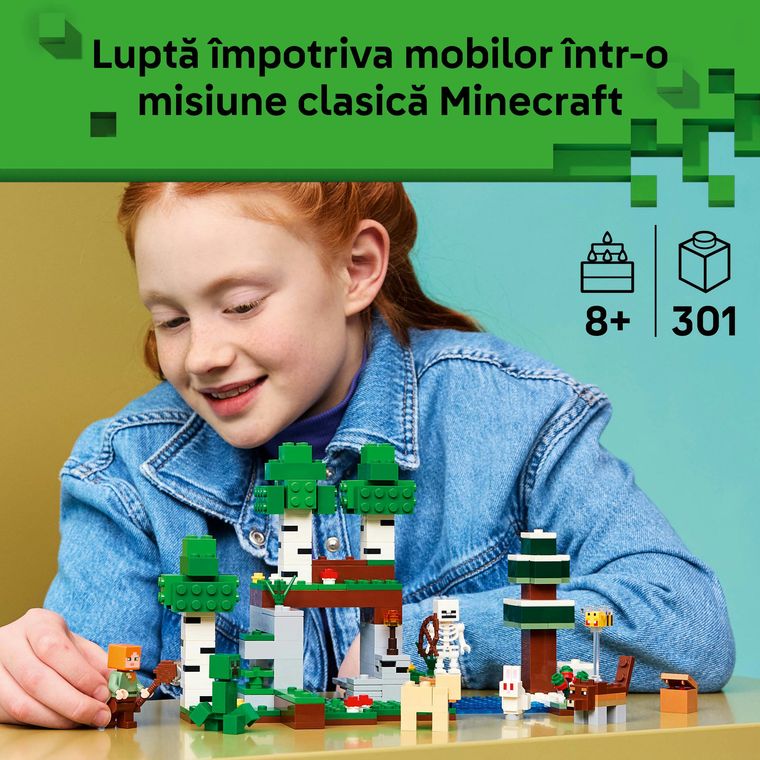 LEGO Minecraft, Prima aventura pe timp de noapte, 21593