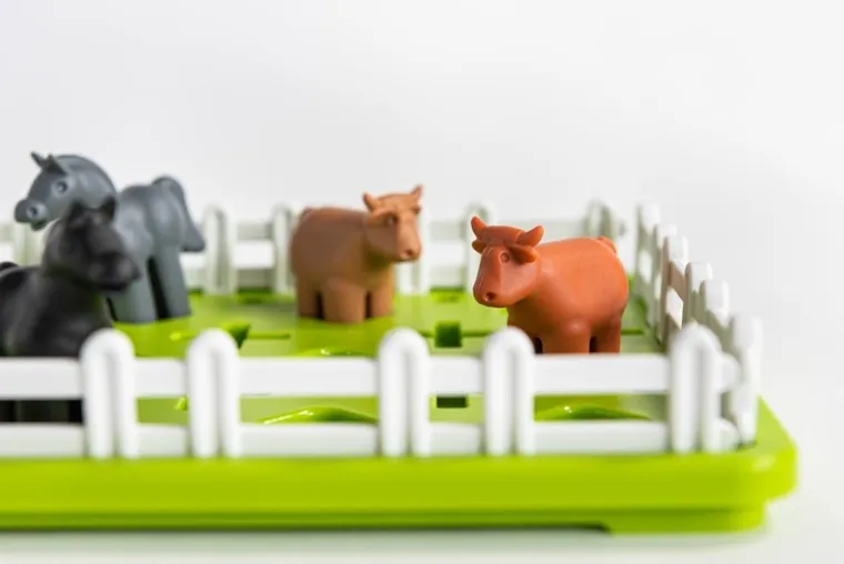 Smart Games, Animalutele de la tara, joc de logica