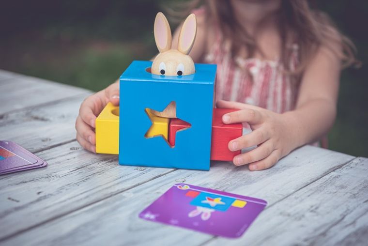 Smart Games, Iepuras, joc de logica