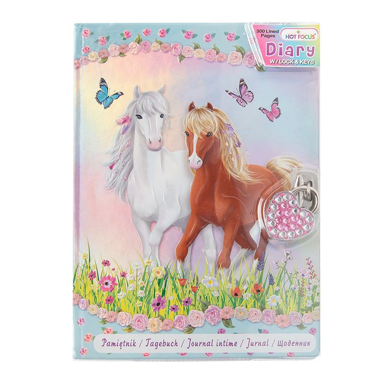 Smiki, Cai, jurnal cu lacat