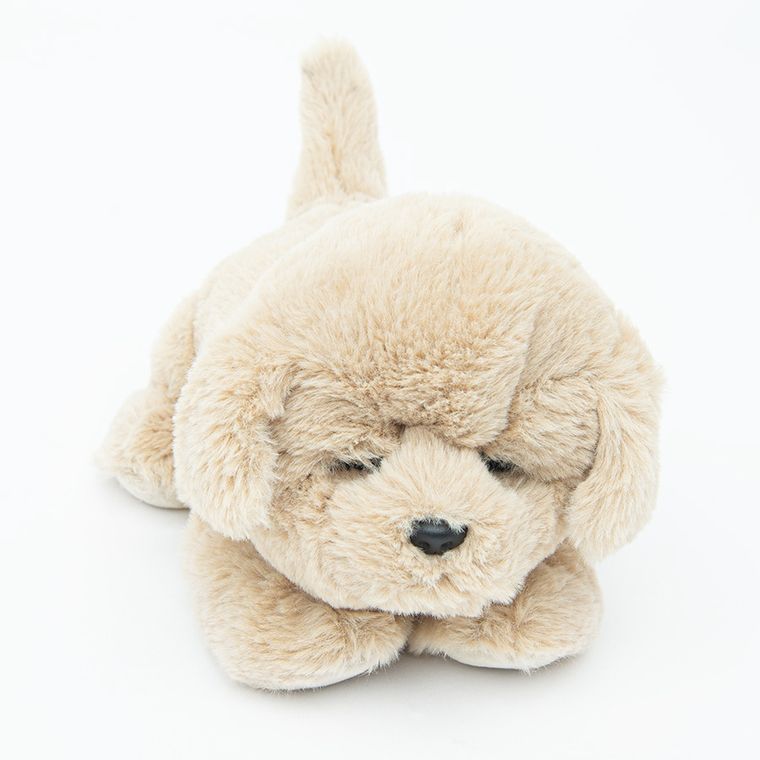 Smiki, Catel somnoros, jucarie de plus, 25 cm