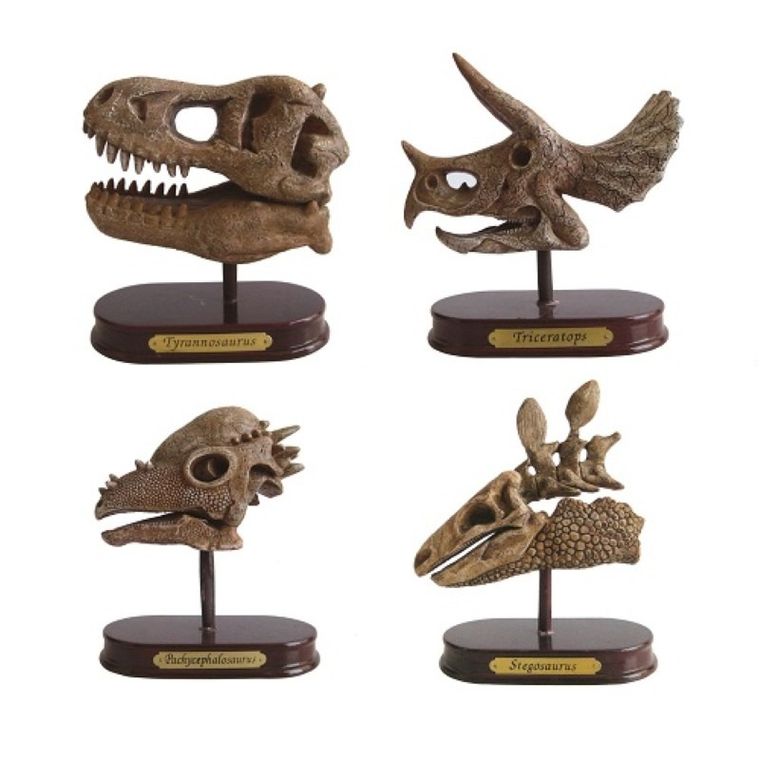 Smiki, Kit excavare, craniu de dinozaur, set de stiinta