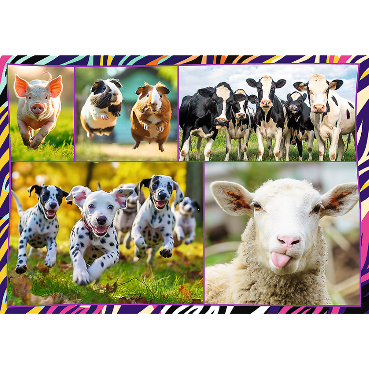Trefl, Funny animals, puzzle, 4-250 piese