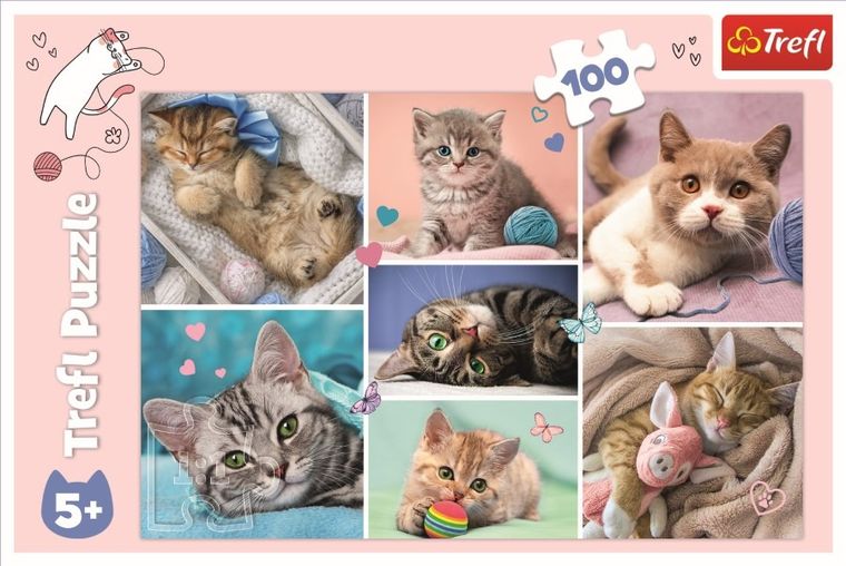 Trefl, In lumea pisicilor, puzzle, 100 piese