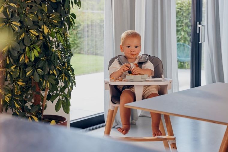 Lionelo, Babymenu, robot de bucaterie multifunctional 5in1