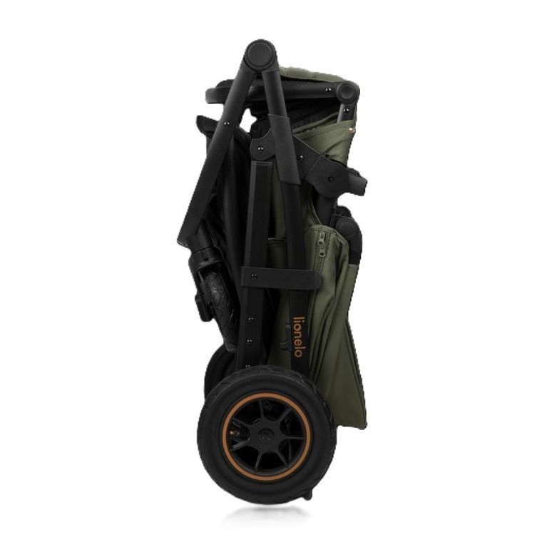 Lionelo, Amber Plus, carucior multifunctional 3in1, Green Forest