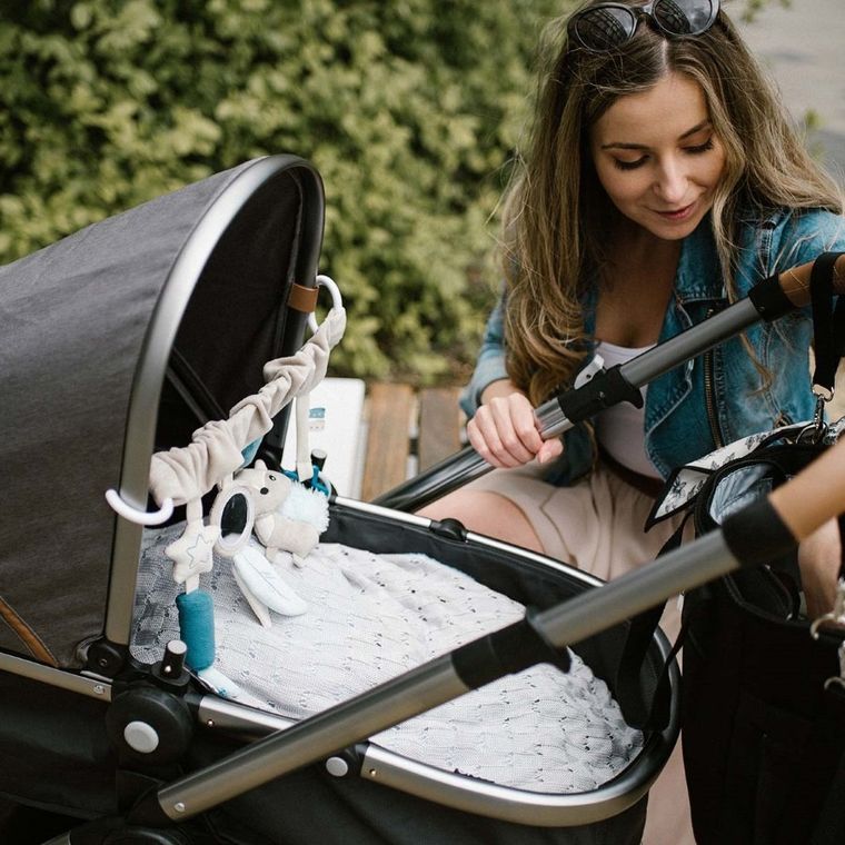 BabyOno, jucarie educativa - agatatoare pentru carucior si scaun auto RACCOON