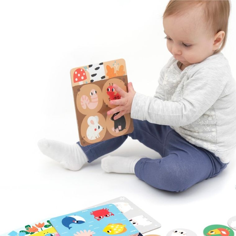 Banana Panda, Bingo Habitate, joc de bingo cu ghid pentru parinti, pentru varste de la 2 ani, 6 planse si 24 de jetoane