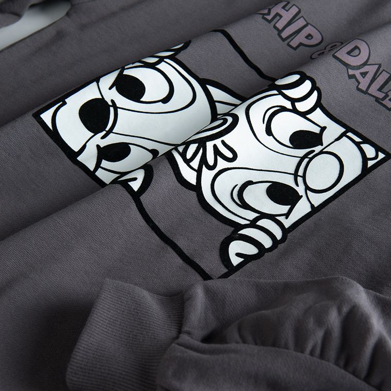 Cool Club, Bluza pentru fete, granit, imprimeu Chip & Dale