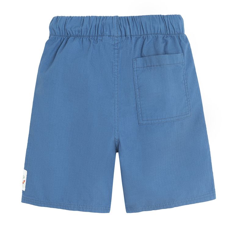 Cool Club, Pantaloni scurti din textil pentru baieti, albastru, imprimeu Sonic the Hedgehog
