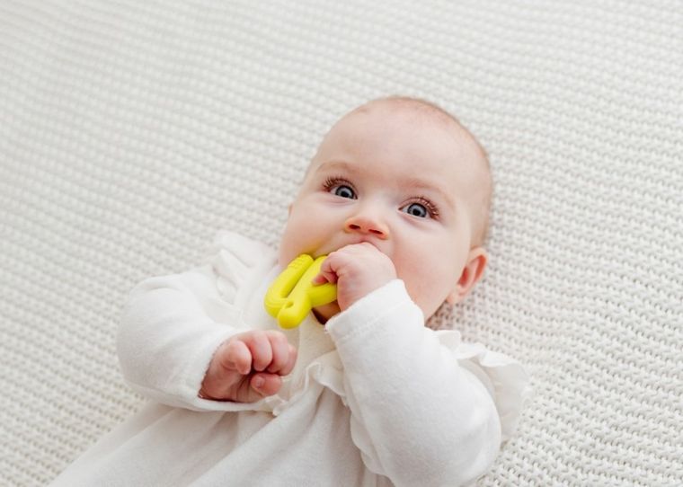GiliGums, Cactus, jucarie dentitie din silicon, verde