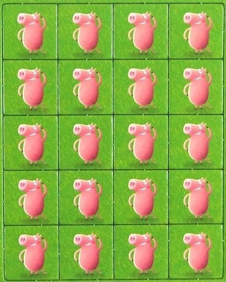 Granna, Superfarmer, Ferma de animale, joc de familie