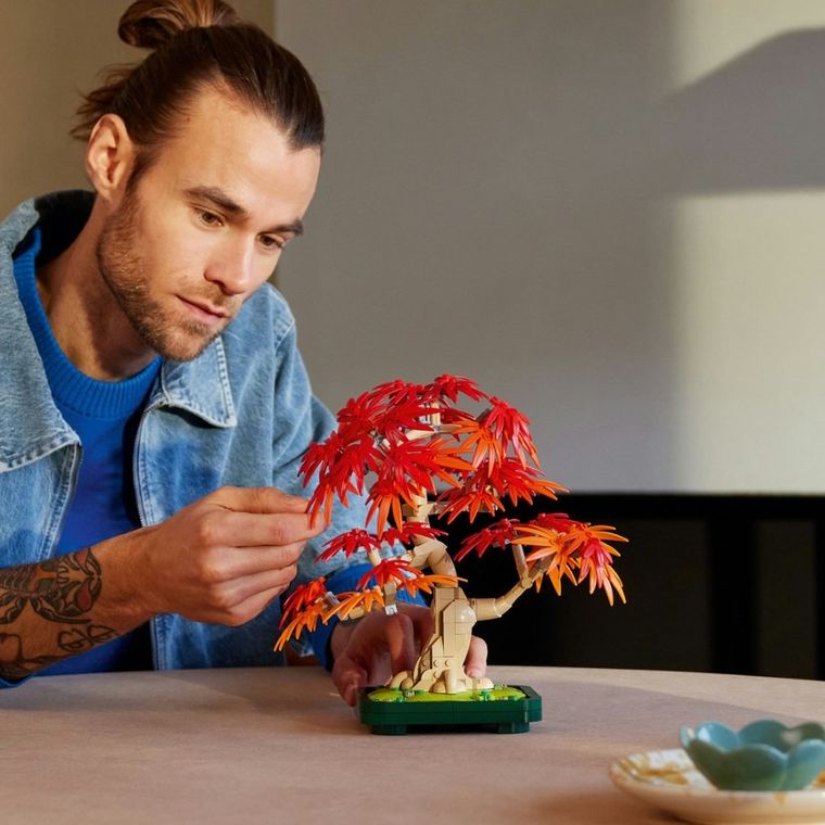 LEGO Botanicals, Bonsai de artar japonez rosu, 10348