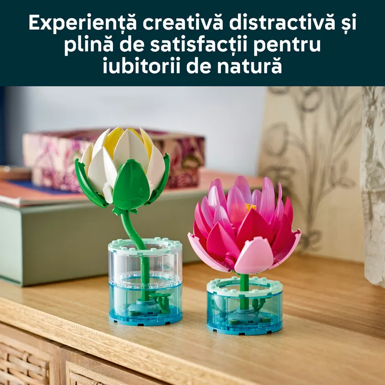 LEGO Botanicals, Nuferi, 11511