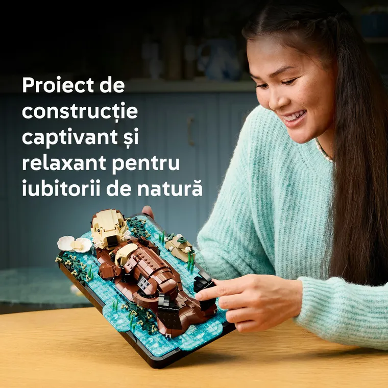 LEGO Ideas, Vidre plutind pe apa, 21366