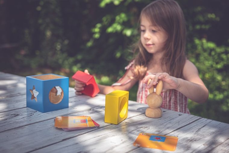 Smart Games, Iepuras, joc de logica