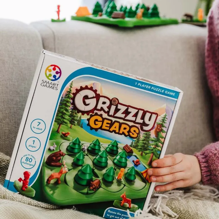 Smart Games, Ursuletii din padure, joc de logica
