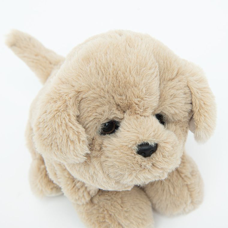 Smiki, Catel somnoros, jucarie de plus, 25 cm
