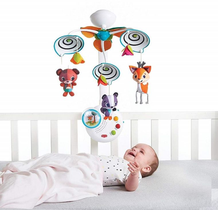 Tiny Love, Teren Forestier, carusel clasic