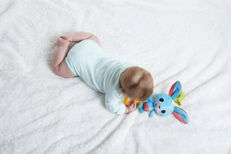 Tiny Love, Tiny Smarts, Iepurasul Thomas, jucarie vibranta cu agatatoare