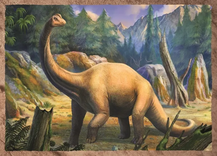 Trefl, Dinozauri interesanti, puzzle 4in1, 71 piese