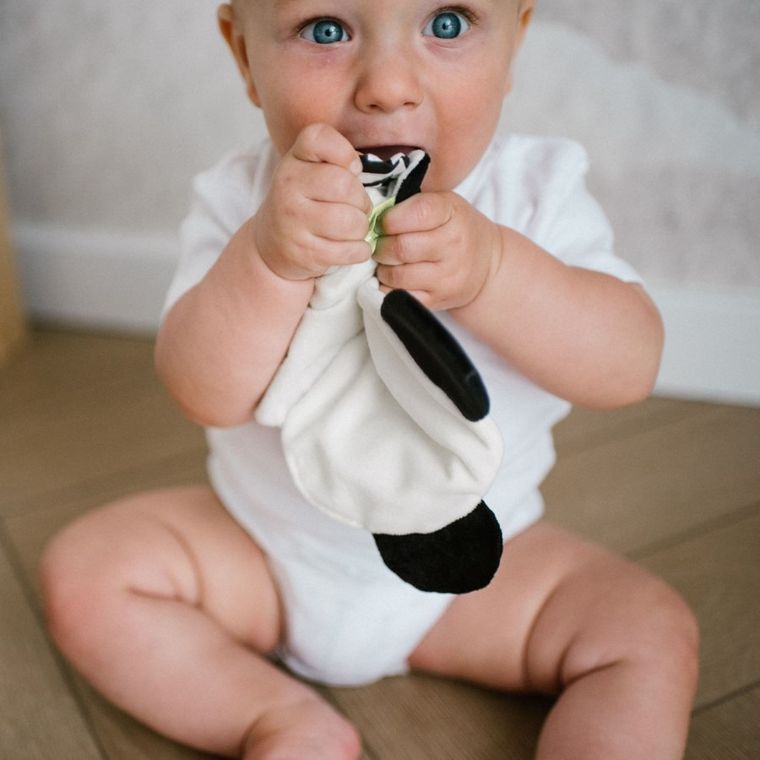 BabyOno, Panda Polly, jucarie de plus fosnitoare