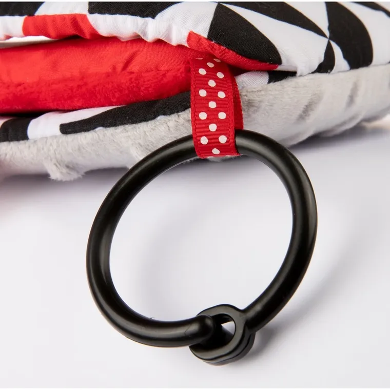 Canpol babies, Sensory Toys, oglinda mare contrastanta