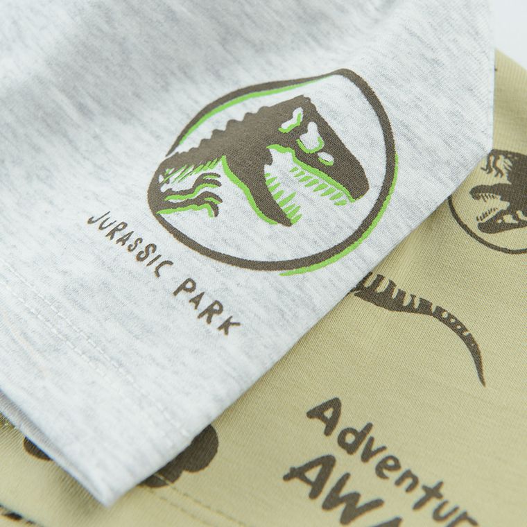 Cool Club, Caciula pentru baieti, gri, verde, imprimeu Jurassic World, set, 2 buc.
