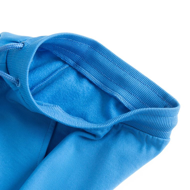 Cool Club, Pantaloni trening pentru baieti, albastru, imprimeu Bluey