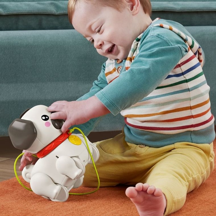 Fisher-Price, Pets, Walk-The-Pup Pug, jucarie trage