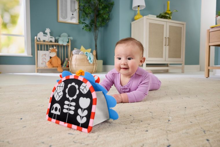 Fisher-price, Prop'N'Go Portable Mirror, pandantiv, jucarie pentru bebelusi