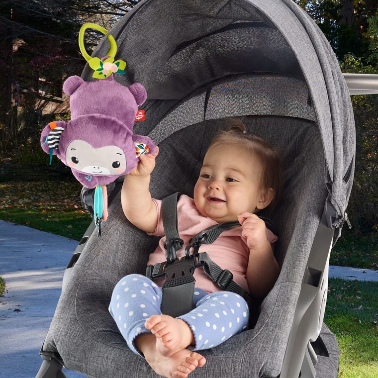 Fisher-Price, Purple Monkey, jucarie pentru carucior