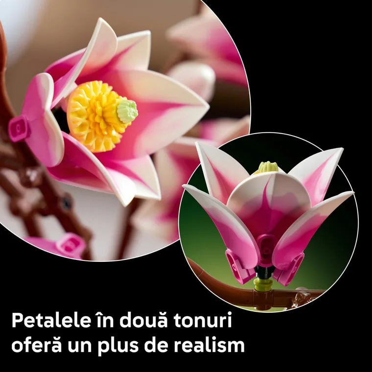 LEGO Botanicals, Crengute de magnolie, 11510