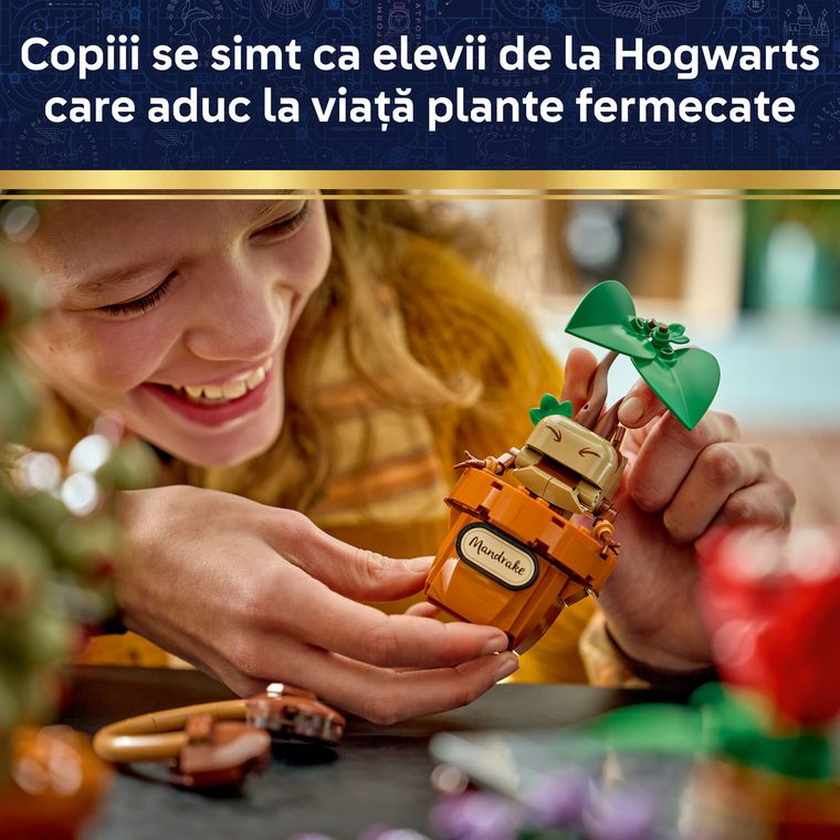 LEGO Harry Potter, Plante pentru ora de ierbologie de la Hogwarts, 76474