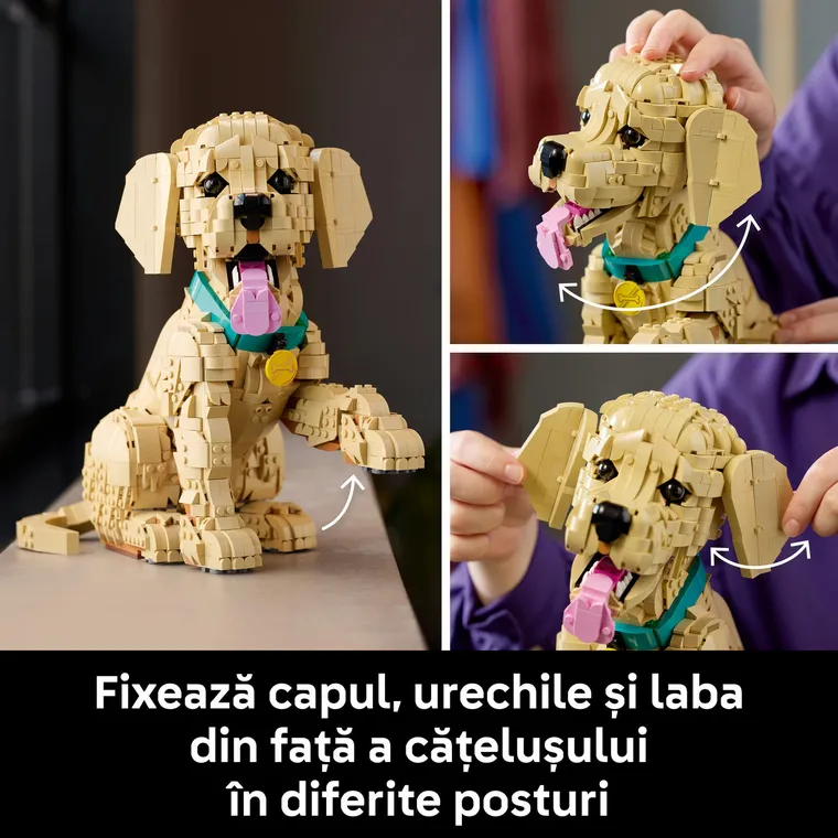 LEGO Icons, Catelus Golden Retriever, 11384