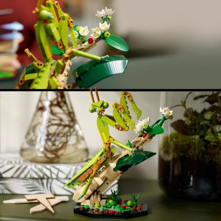 LEGO Ideas, Colectia de insecte, 21342
