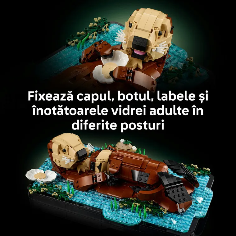 LEGO Ideas, Vidre plutind pe apa, 21366