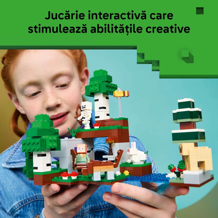 LEGO Minecraft, Prima aventura pe timp de noapte, 21593