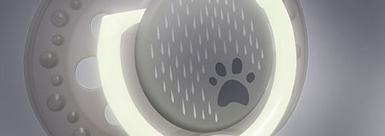 Lovi, Buddy Bear, suzeta dinamica din silicon, 6-18 luni, 2 buc.