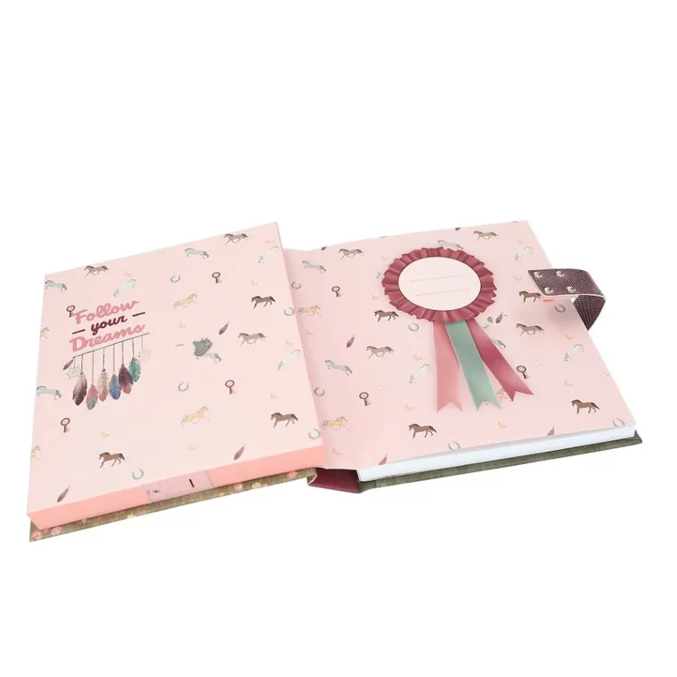 Miss Melody, Taylor Swift, jurnal cu cod, cu sunet