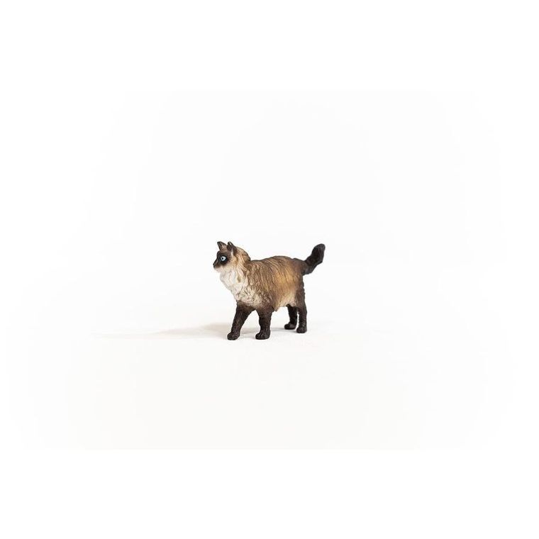 Schleich, Farm World, Pisica Ragdoll, figurina, 13940