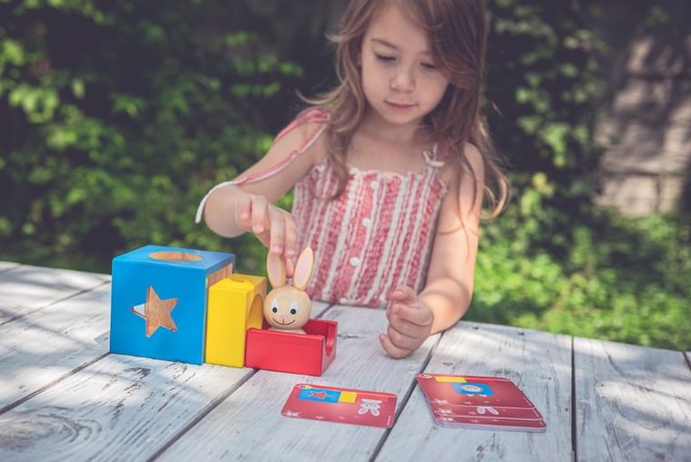 Smart Games, Iepuras, joc de logica