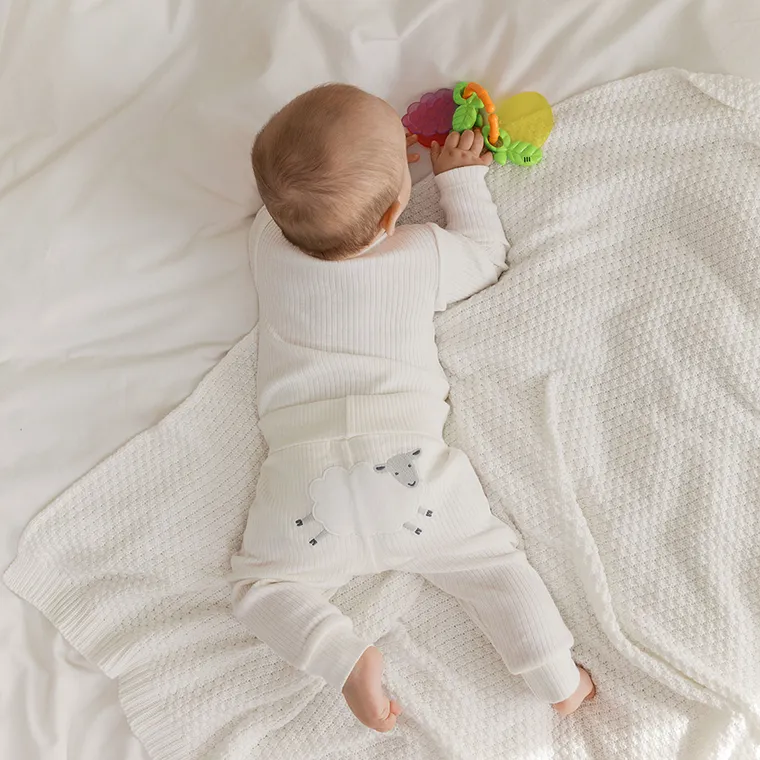 Smiki, Fructe, jucarie de dentitie